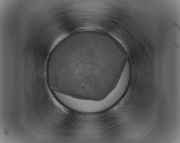 X0000091191042200709061010