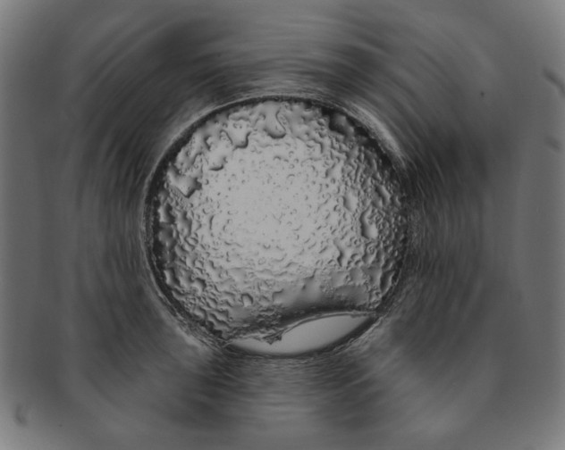 X0000091191043200709061010