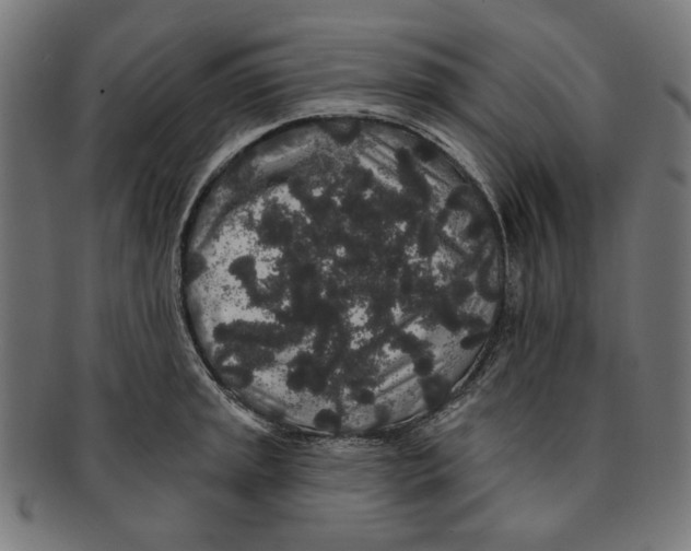 X0000091191045200709061010