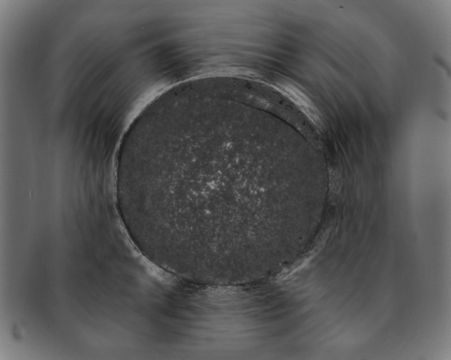 X0000091191046200709061010