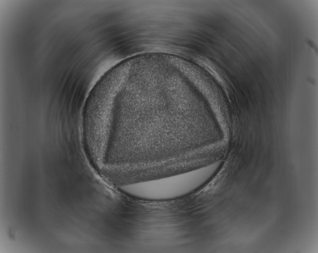 X0000091191048200709061010