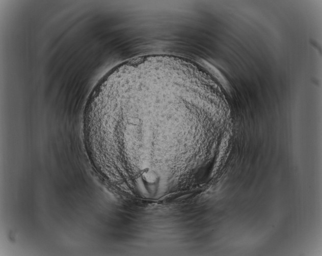 X0000091191051200709061010