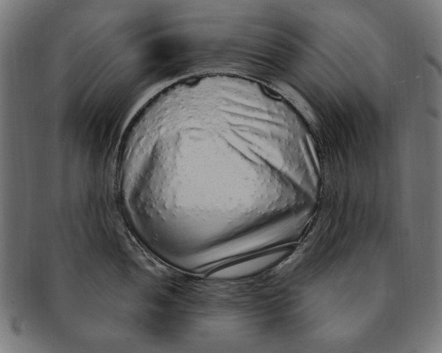 X0000091191052200709061010