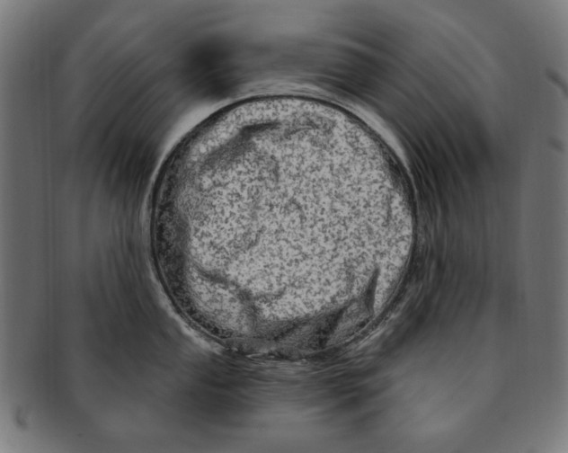 X0000091191053200709061010