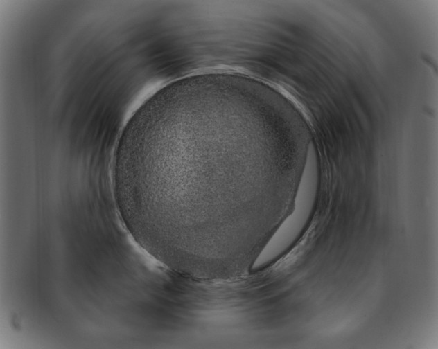 X0000091191054200709061010