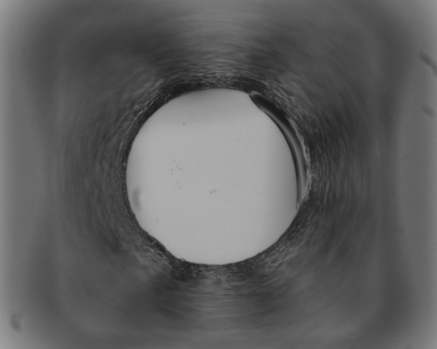 X0000091191057200709061009