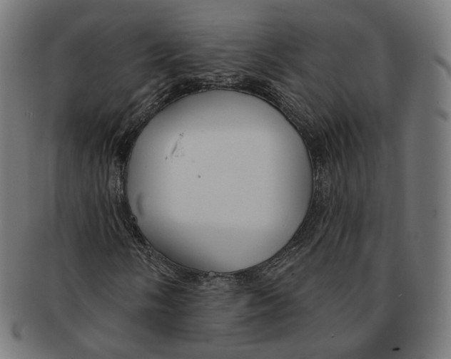 X0000091191058200709061009