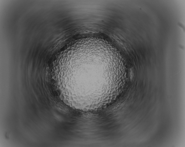 X0000091191059200709061009