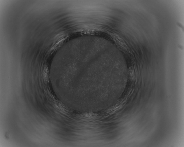 X0000091191060200709061009