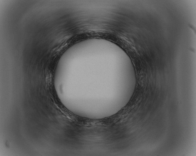 X0000091191061200709061009