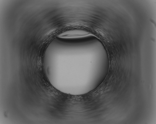 X0000091191062200709061009