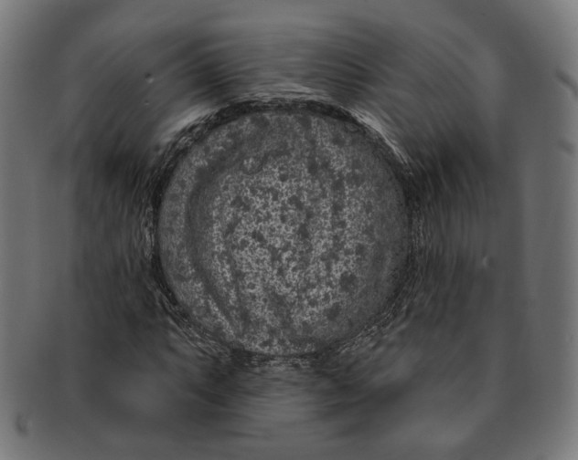 X0000091191063200709061009