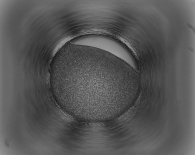 X0000091191066200709061009