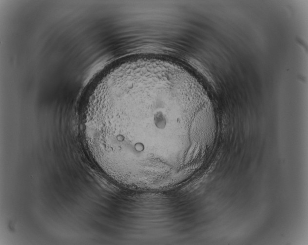 X0000091191067200709061009