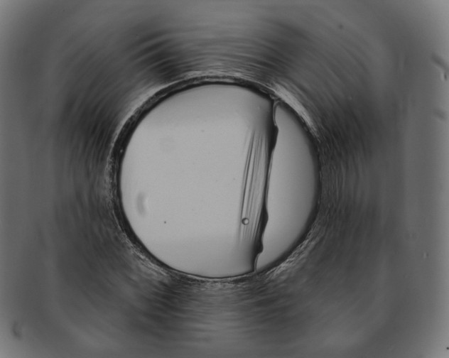 X0000091191068200709061009