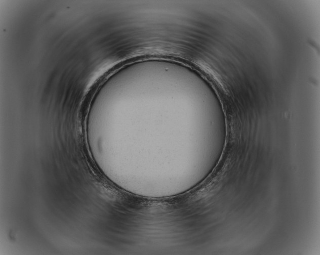 X0000091191070200709061009