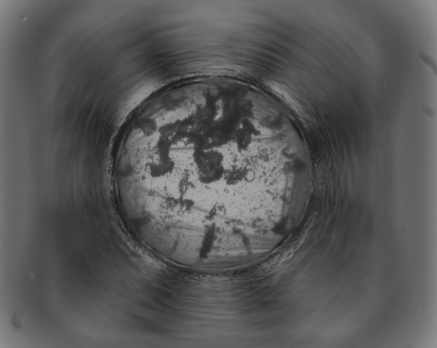 X0000091191071200709061009