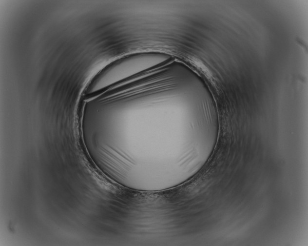 X0000091191072200709061009