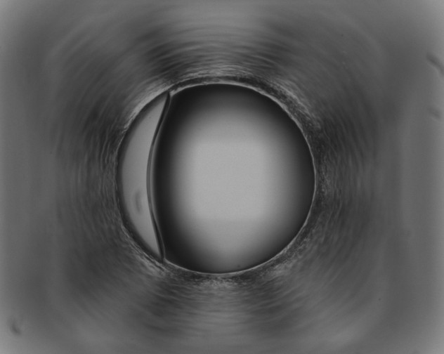 X0000091191073200709061009