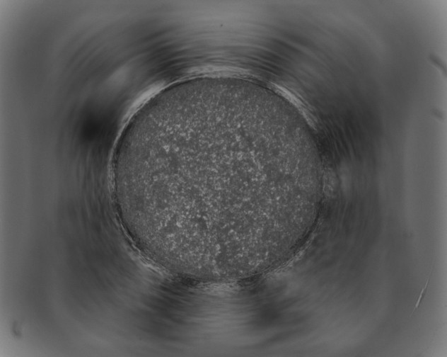 X0000091191074200709061009