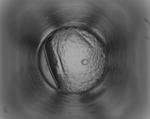 X0000091191075200709061009