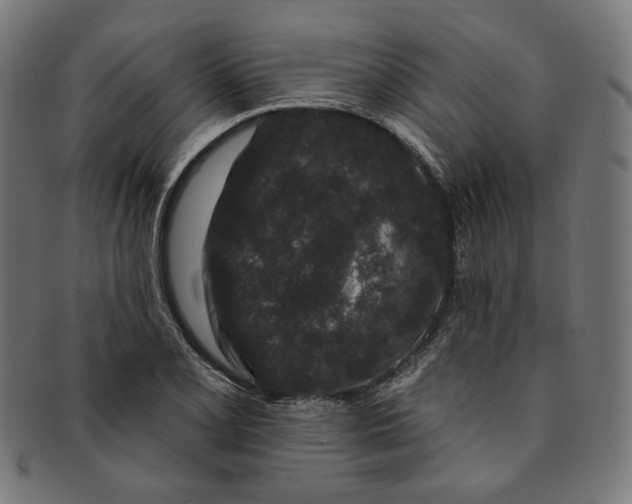 X0000091191077200709061009