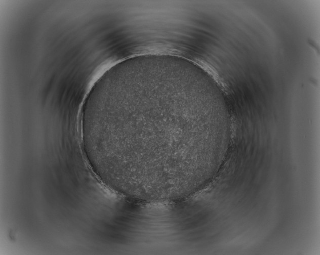 X0000091191078200709061009