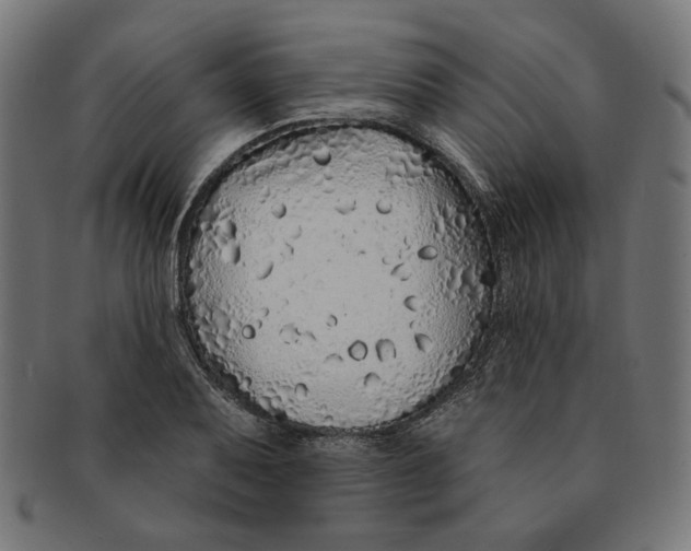 X0000091191079200709061009