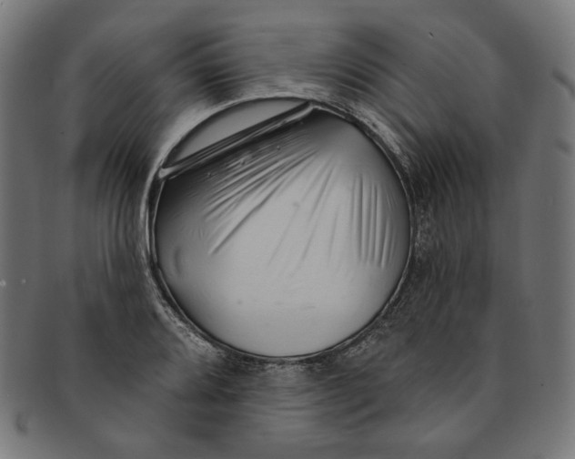 X0000091191080200709061009