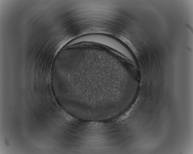 X0000091191081200709061009