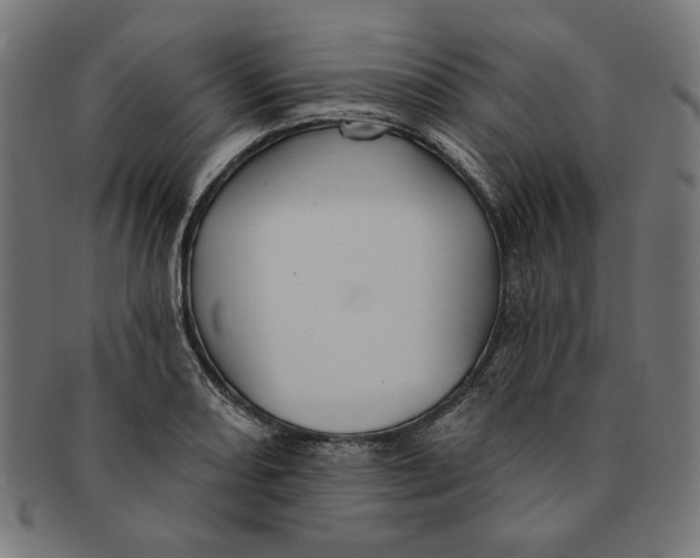 X0000091191082200709061009