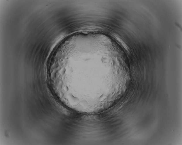 X0000091191083200709061009