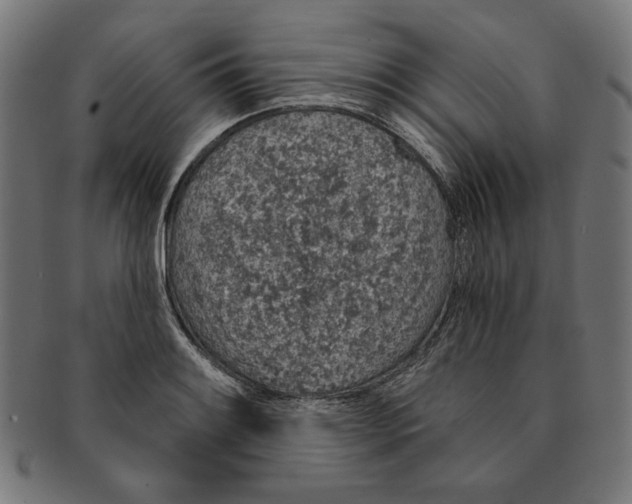 X0000091191084200709061009