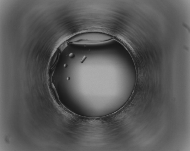 X0000091191085200709061009