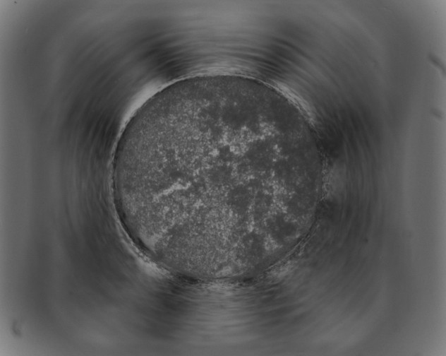 X0000091191086200709061009