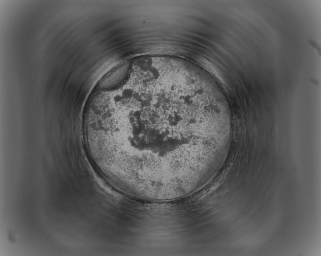 X0000091191087200709061009