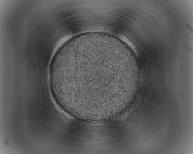 X0000091191088200709061009