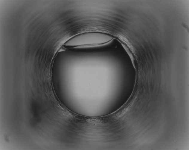 X0000091191089200709061009