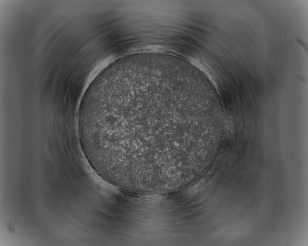 X0000091191090200709061009