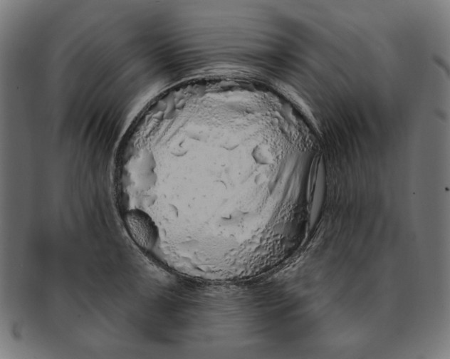 X0000091191091200709061009