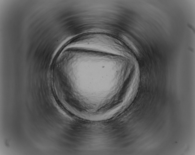 X0000091191092200709061009