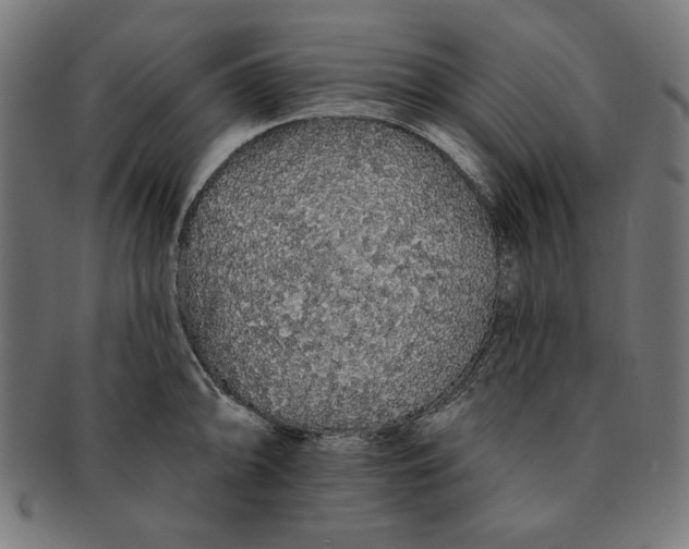 X0000091191094200709061009