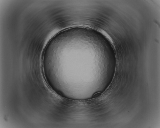 X0000091191096200709061009