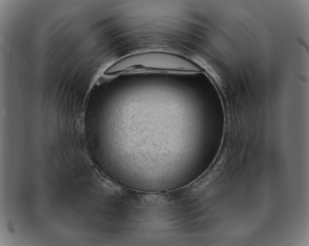 X0000091191097200709061009