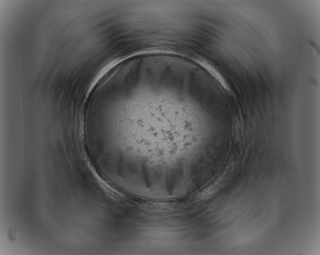 X0000091191101200709061009