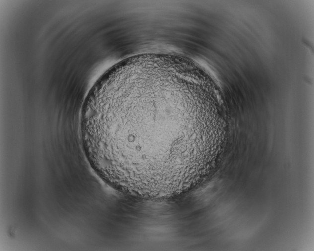 X0000091191103200709061009