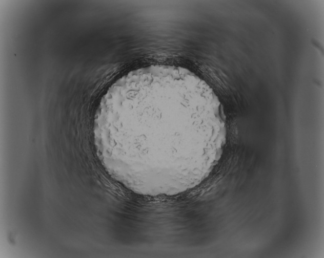 X0000091191105200709061008