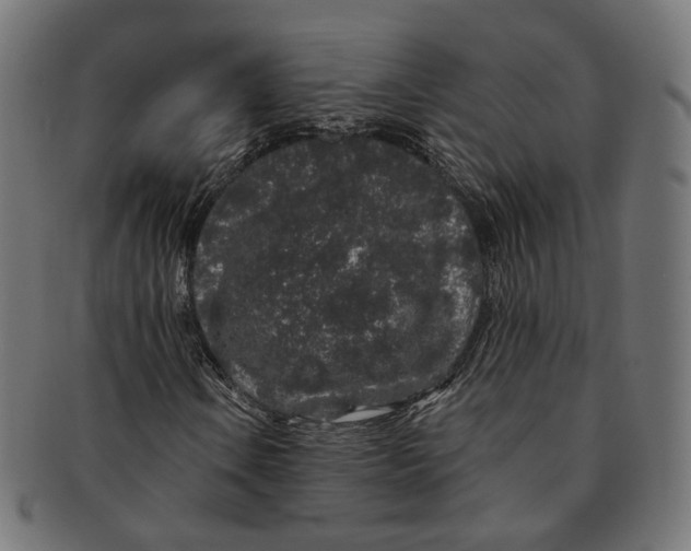 X0000091191106200709061008