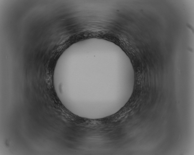 X0000091191109200709061008