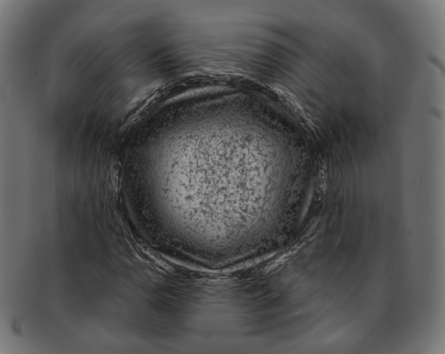 X0000091191110200709061008